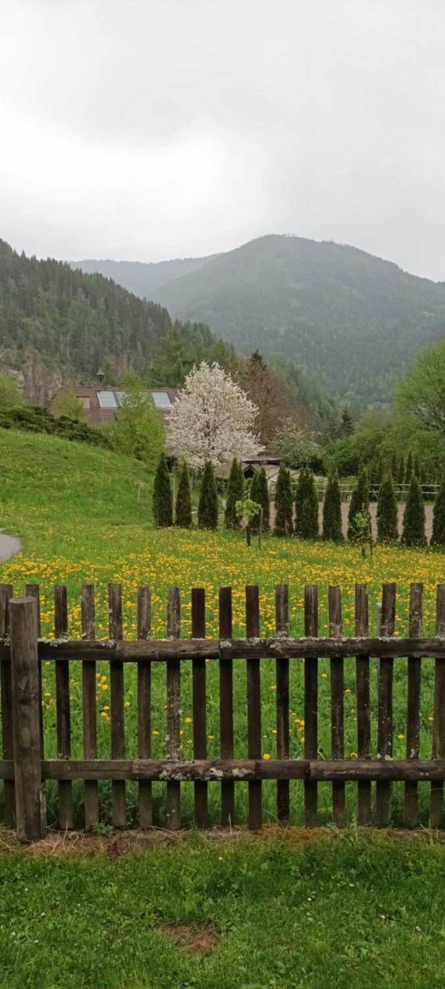 Katsch an der Mur Umundumhuette 빌라 외부 사진
